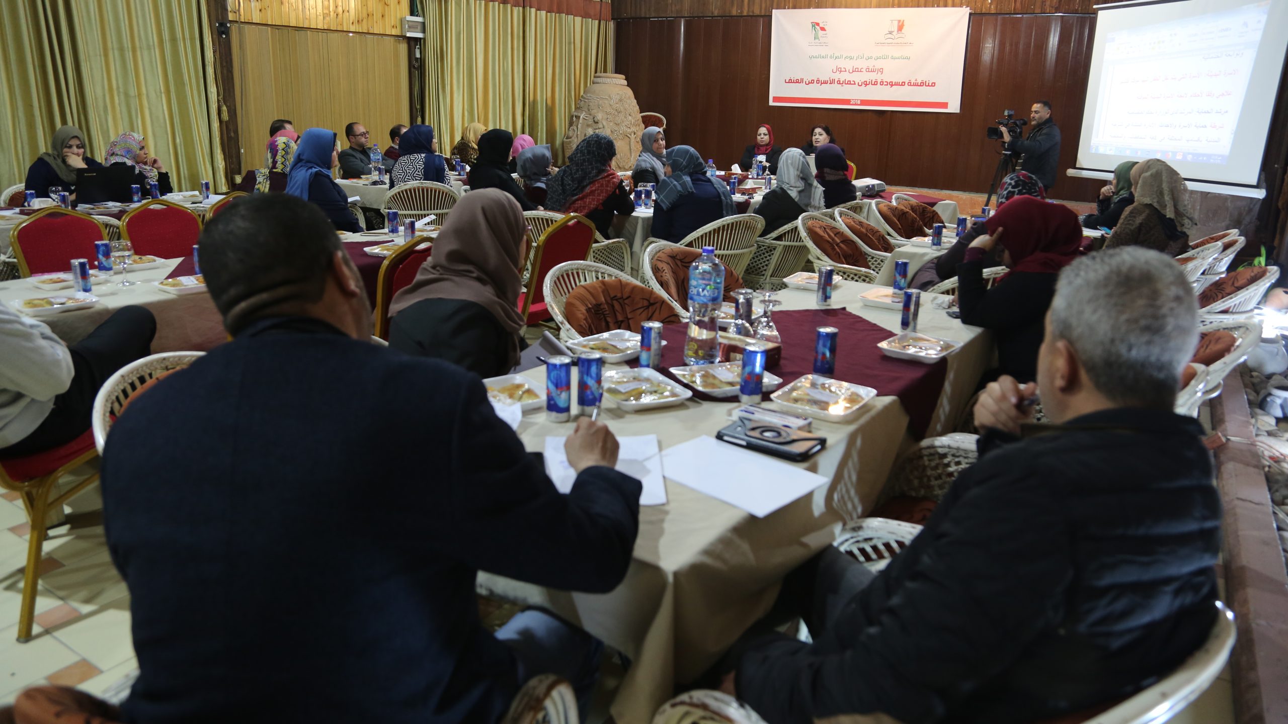 CWLRCP and Women’s Affairs Center Host Workshop on Draft Law Protecting Families from Violence